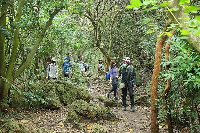 前往石灰岩洞的路上，行经错综復杂的原始山径。(摄影/Carter)