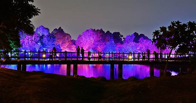 衛武營湖映森光。(攝影/Carter)
