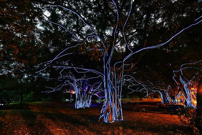 衛武營作品─生命線。(攝影/Carter)
