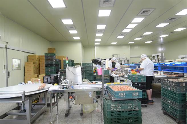 彰化县养鸡协会理事长谢文龙经营的蛋鸡场内，採一贯化全自动生产流程，设备十分先进。（谢琼云摄）