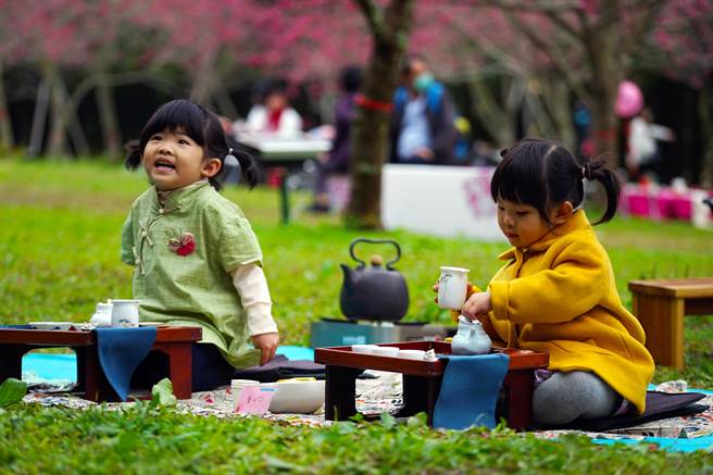 何宥婕(左)、何宥嫺(右) 在茶农世家长大，从小耳濡目染泡起茶来有模有样，相当可爱。(九族提供／吴建辉南投传真)