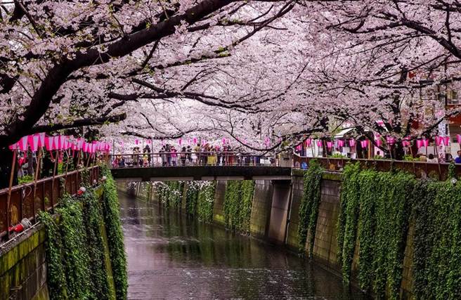 日本松绑边境，让许多人开始摩拳擦掌排行程想出国旅游。(图／达志影像)
