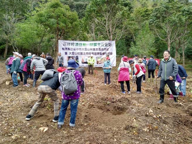 東勢林區管理處與大雪山社區發展協會種植原生種土肉桂。（東勢林管處提供／王文吉台中傳真）