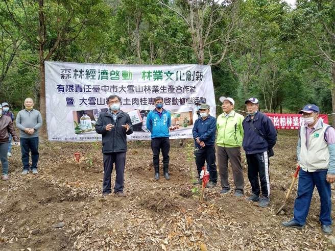 東勢林區管理處輔導即將成立的大雪山林業合作社發展土肉桂產業。（東勢林管處提供／王文吉台中傳真）