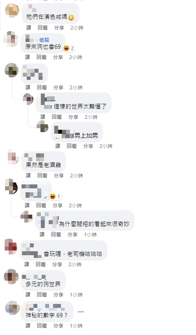 一名男子在脸书社团放上一段2只狗的玩在一起的影片，引起网友们争相标记朋友来观看。（翻摄自爆废公社公开版）