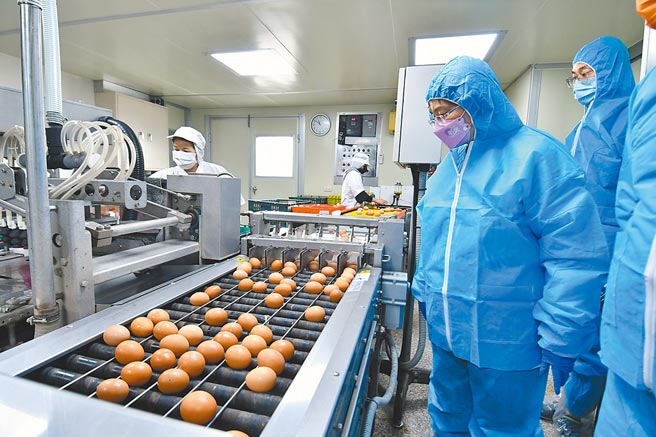 彰化县长王惠美（中）参访佳萦畜牧场，蛋农谢文龙指出，鸡蛋供应预估要到5、6月后才能回稳。（谢琼云摄）