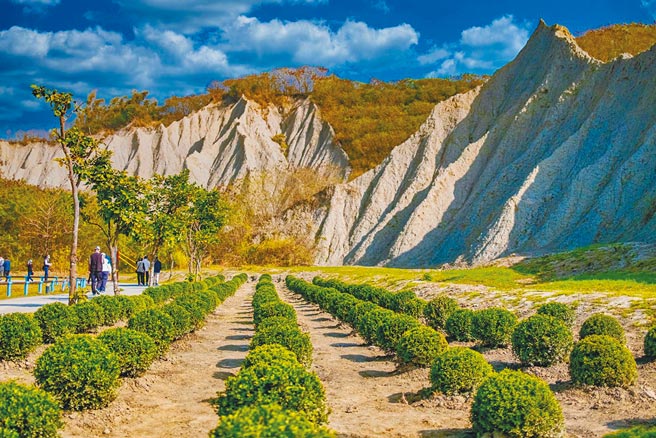 月世界台版波波草。（观光局提供／曹明正高雄传真）