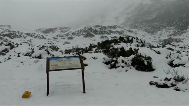 大雨加上寒流，雪霸國家公園20日上午開始飄雪。（雪霸國家公園提供／李京昇苗栗傳真）