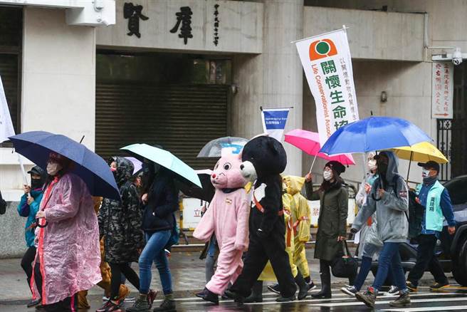 动保团体提倡动物权入宪已久，许多支持动保入宪团体20日上街参与「动保入宪大游行」，许多民眾手持看板以及身穿动物服装上街。动团表示，动保入宪除了维护动物福祉，对经济、农业、环境发也展都是重要的一环。（邓博仁摄）

