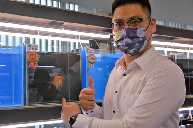 屏县府在第4届观赏鱼国际交流赛新增神仙鱼项目，并分6组比赛，最后来自高雄的薛玮均拿下3组冠军。（谢佳潾摄）