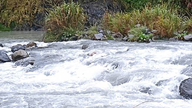 失联一夜的泰籍移工遗体卡在合欢溪中大石上。（台中市消防局提供／王文吉台中传真）