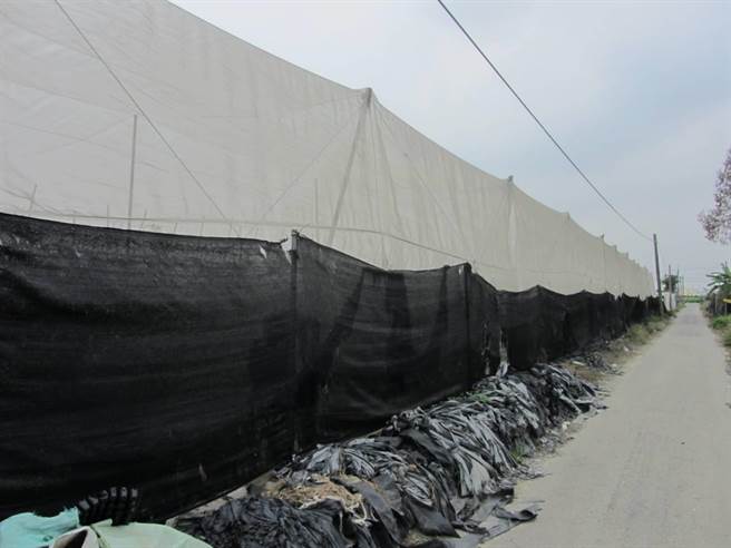 寒流来袭，高雄市农业局提醒农友做好防范措施。（高雄市农业局提供／林瑞益高雄传真）