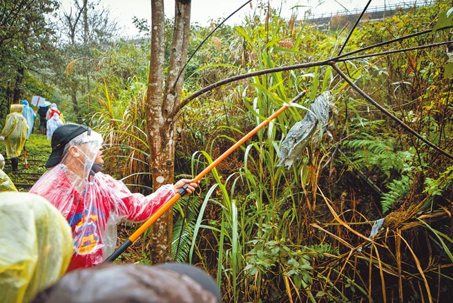 新北市观旅局昨日发起「平溪健行净山趣」，号召百人深入孝子山、冬瓜坑山等平溪特色步道，捡拾天灯残骸，盼让生态环境与文化节庆永续共存。（新北市观旅局提供／蔡雯如新北传真）