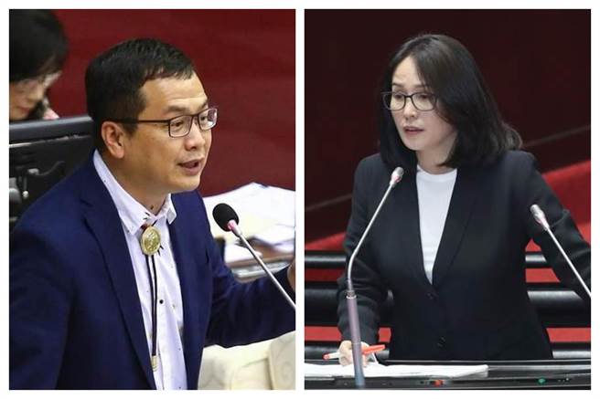 台北市议员罗智强（左）和立委高金素梅（右）。（中时资料照，合成照）