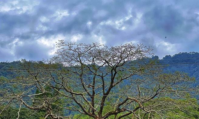 藺奕》我的臉書就是我的日記翦影
。(圖/愛傳媒提供)