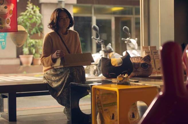 公视－《衣柜里的猫》。（图／柯素云脸书）

