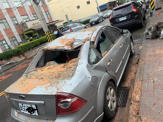 海線路樹不敵強風侵襲，連根拔起壓壞兩部小客車。（摘自社群「梧棲串起來」／陳淑娥台中傳真）