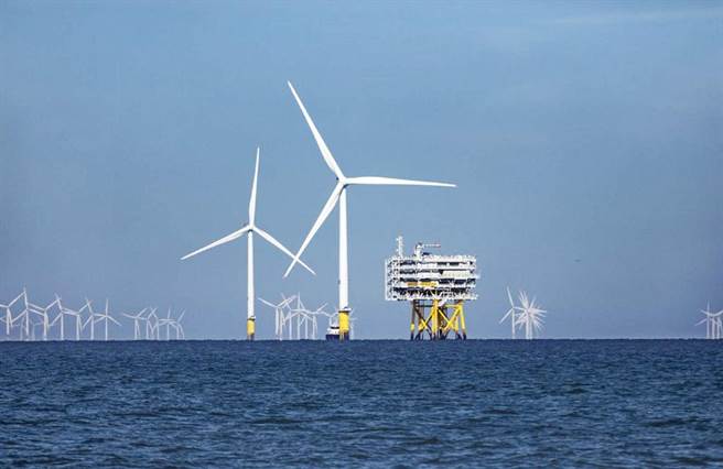 賞鯨豚還有錢領，雲林縣招募離岸風場鯨豚觀察員。（本報資料照片）