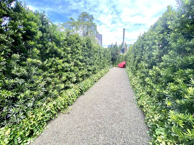 理仁建设在台中的市中心打造迷宫，运用绿色植墙设计出错落的石头小径。（卢金足摄）