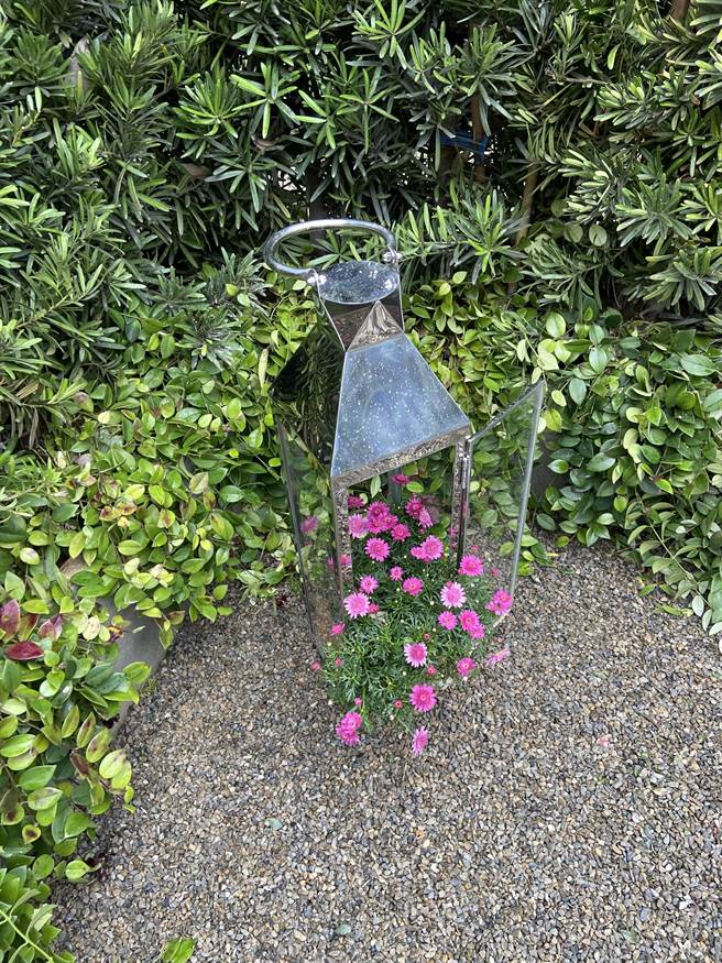 「理仁美感聚落、周末市集」，就位在捷运市府站前，立即在网路跃上拍照打卡热点。（卢金足摄）