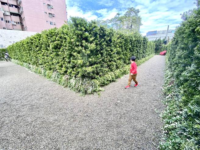 理仁建设在台中的市中心打造迷宫，运用绿色植墙设计出错落的石头小径。（卢金足摄）