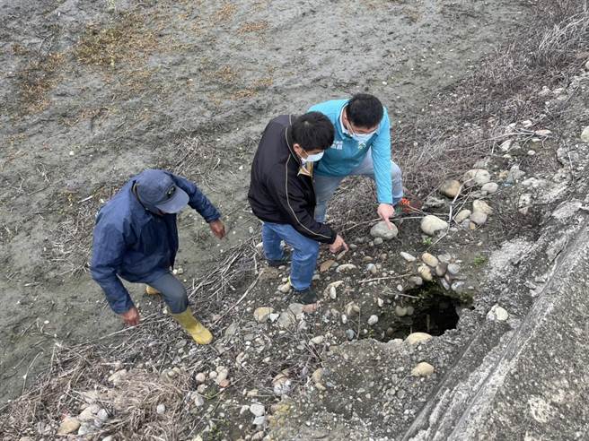 大甲建興里后厝溪橋旁堤防遭掏空，恐影響周遭民眾農田與生活安全。（陳淑娥攝）