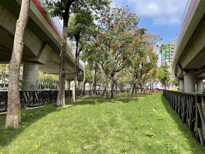 北投区大同狗活动区。（北市动保处／杨亚璇台北传真）