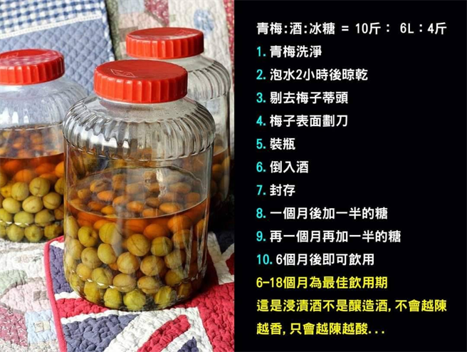 有热心网友PO出制作梅酒步骤。(图/截自Costco好市多 商品经验老实说)