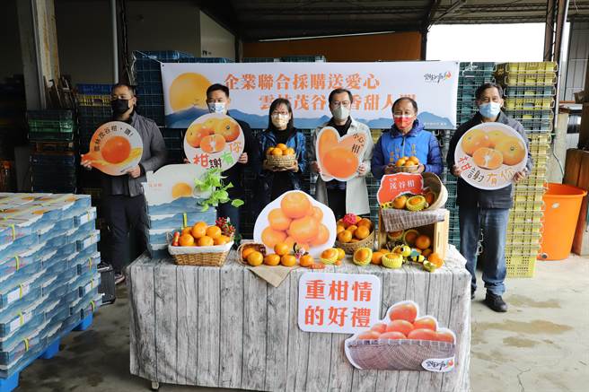 云林县府持续透过团购、团膳、超商系统协助农友促销，最近有6个公司或企业联名採购云林茂谷柑约1000箱。（周丽兰摄）