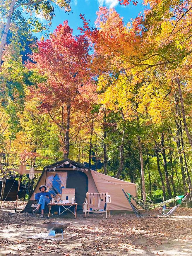 赏枫景点，美树营地 。（TromsoAurora挪威中文极光团提供） 