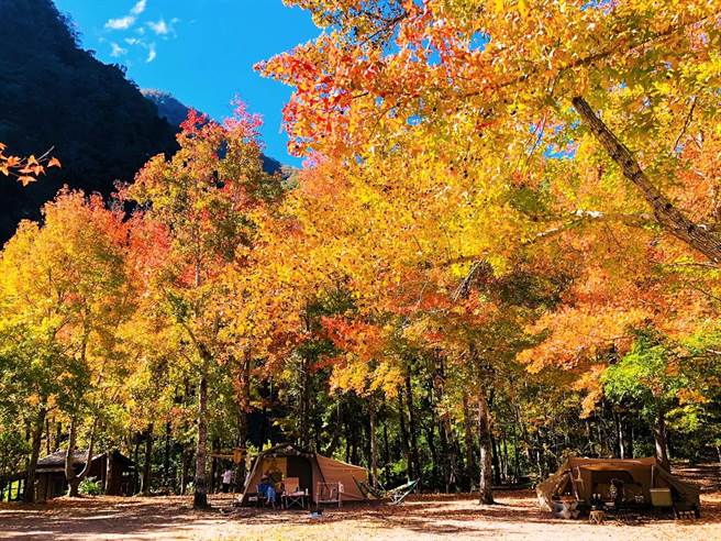 赏枫景点，美树营地。（TromsoAurora挪威中文极光团提供） 