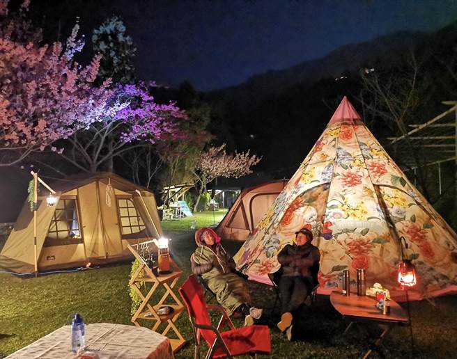 樱花圣地，比固花园。（TromsoAurora挪威中文极光团提供） 