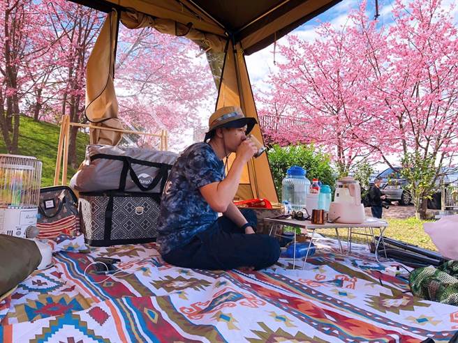 翡翠园樱花远近驰名。（TromsoAurora挪威中文极光团提供） 