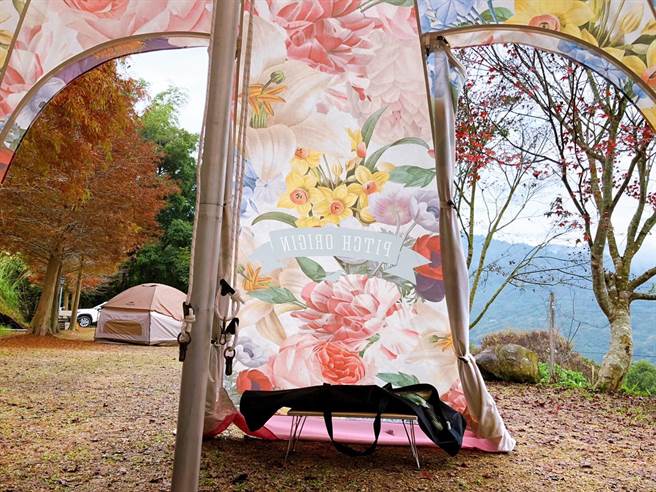 福人居落羽松风景。（TromsoAurora挪威中文极光团提供） 