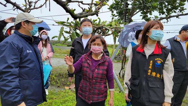 气温不定，花莲寿丰乡高接梨开花率低，损失惨种，议长张峻（中）、县府农业处长陈淑雯（右）等人今天下乡勘灾。（张峻服务处提供／王志伟花莲传真）