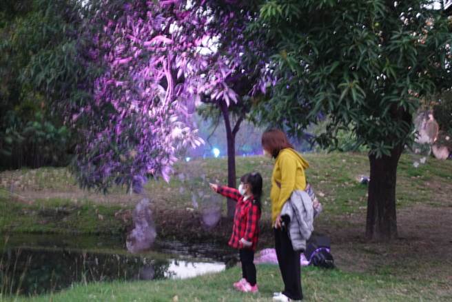 茂林区族人这次终于有机会到现场赏灯，因此携眷同行，一同感受节庆的气氛。(高雄市原民会提供／林雅惠传真)