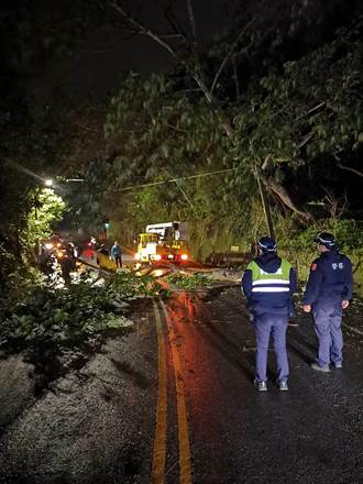 雨彈炸苗栗三義山區 路樹倒塌壓垮電桿慘況曝光