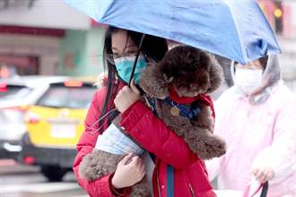 下班注意！豪雨、低溫特報接力北台灣續濕冷 5縣市入夜下探10度