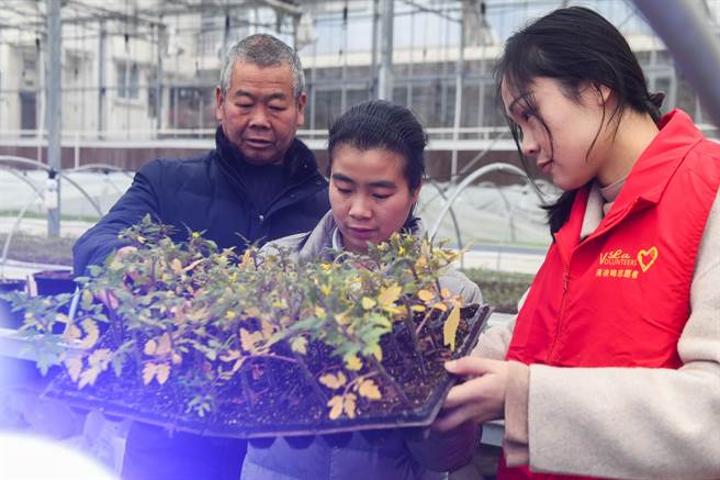  近年来，浙江省杭州市临安区清凉峰镇注重人才培养，投资建立农创客中心，免费提供场地给回乡创业的新农人优先使用，吸引他们把创业梦扎根在家乡，用创新创业为乡村振兴和共同富裕贡献力量。目前，全镇共吸引110名「新农人」回乡创业，带动民宿、蔬菜水果种植、蜜蜂养殖、特色农产品电商等特色行业发展。 （新华社资料照）