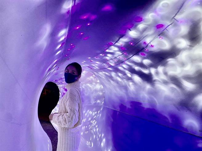 来林园灯会拍照打卡当网美、品嚐渔港美食。（柯宗纬翻摄）