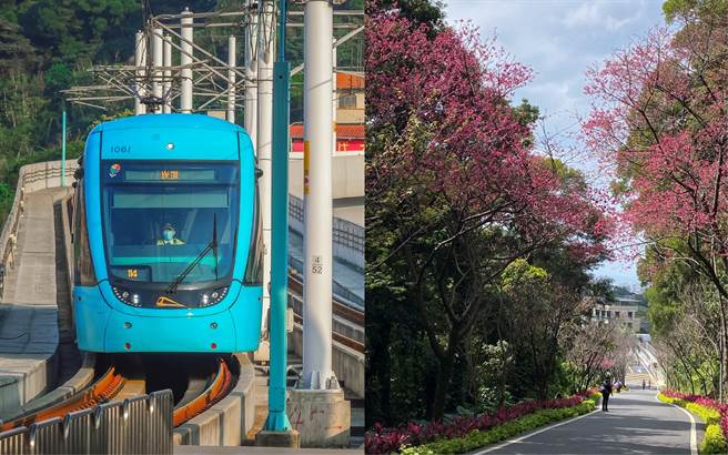 赏樱就搭乘淡海轻轨  （新北捷运公司提供／戴上容新北传真）