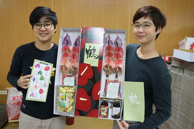 台南地区火鹤花受低温影响，生长缓慢，出货量大减。（刘秀芬摄）