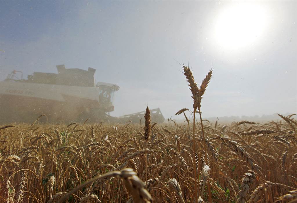 中国海关总署今天公告允许俄罗斯全境小麦进口，可望大幅提升俄罗斯小麦出口量。图／路透社(photo:ChinaTimes)