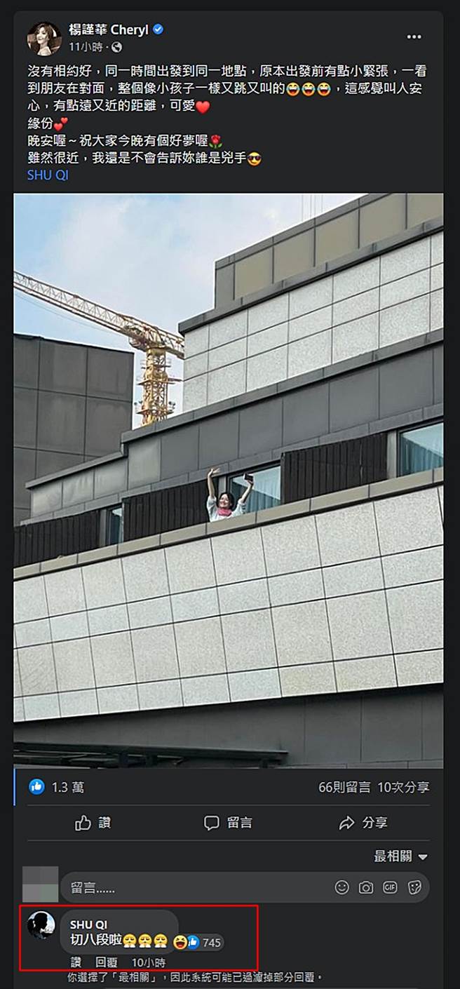 舒淇在杨谨华脸书底下留言呛「切八段」。（图／翻摄自杨谨华 Cheryl脸书）