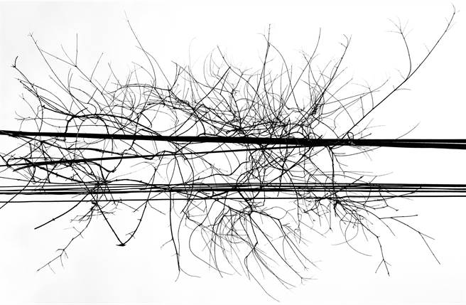 徐钦敏,Line-13,2021。（主办单位提供）