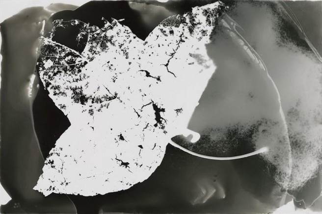 张国治,一叶禅之4,2021。（主办单位提供）