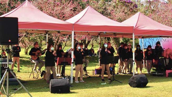 暨大表示，2月26日邀请所有校友，回到暨大品茗赏花回忆当年，品茗、逛市集，在樱花树的衬托下，来一场知性、浪漫、充满回忆的同学会。(暨大提供／吴建辉南投传真)