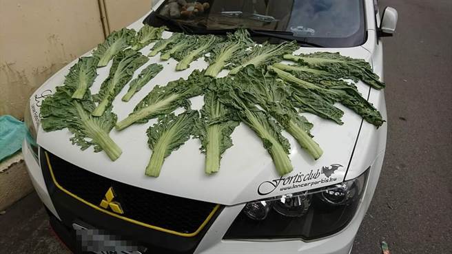 1名網友日前分享他的白色愛車引擎蓋被阿嬤「鋪滿鹹菜」，阿嬤疑似想用車子曝曬的熱氣加速曬乾成菜乾，原PO則無奈喊「要曬可以至少先舖個紙箱吧」。（翻攝自臉書「爆廢公社」）