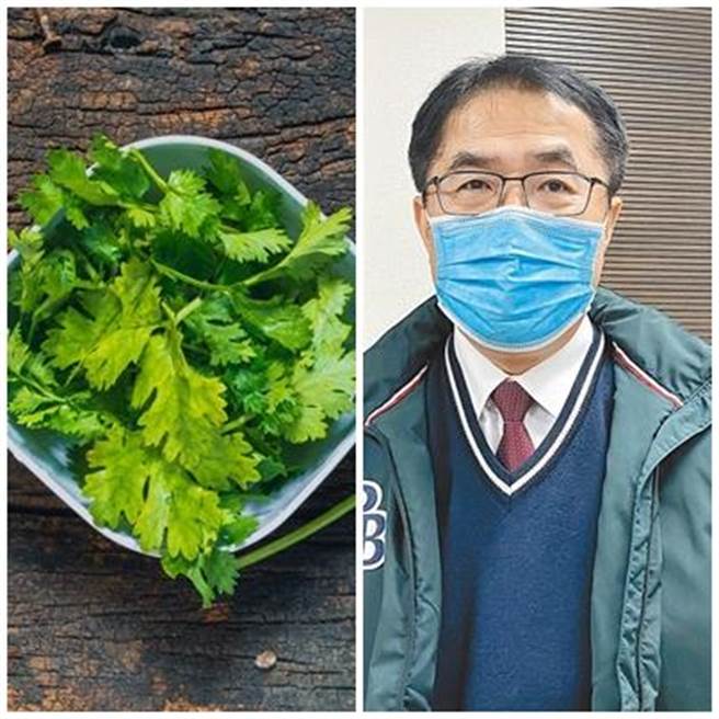 台南市长黄伟哲在推特表示，面对国际情势急遽变化，能做的就是保持健康饮食，而吃香菜有益健康，他很喜欢吃香菜。（香菜图／达志影像，黄伟哲／资料照片）