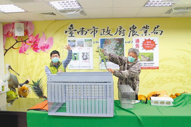台南市政府農業局推廣設置誘捕籠以發酵水果誘捕，與義消尹俊凱（右）示範自製誘捕籠使用情形。（台南市政府提供／張毓翎台南傳真）